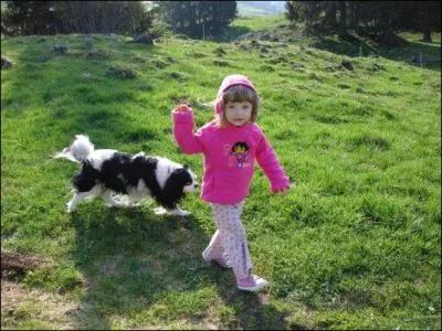 Avec les enfants, le Cavalier King Charles ...