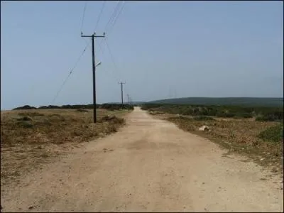 Complétez cette affirmation : les conducteurs quittant un chemin de terre pour rejoindre une route goudronnée sont...