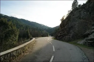 Qu'indique une ligne de dissuasion au sol ?