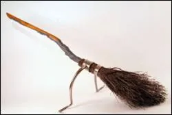 Question facile pour gagner du temps ! En quoi est fait le manche du balai le plus rapide au monde, "l'Éclair de Feu" ?