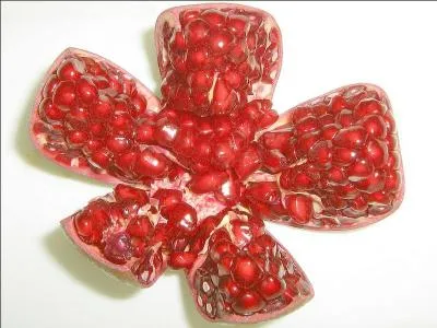 Ce fruit a le nom d'une arme, c'est...