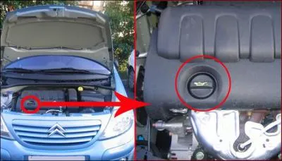 Que cet orifice permet-il ?