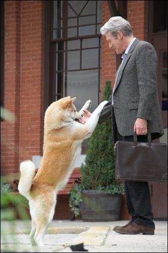 Quel est ce film dont le héros est un chien de race Akita Inu ?