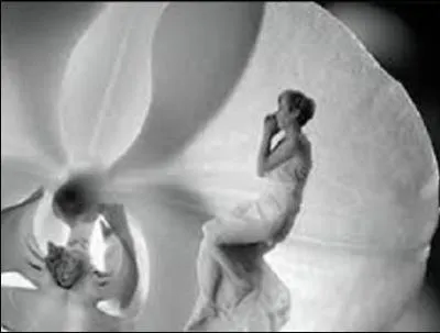 Qui vous fait renaître chaque matin ?