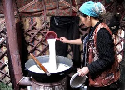 On appelle mon premier, "kiki". Mon second est élu reine de beauté. Mon tout est un lait fermenté d'Asie centrale.