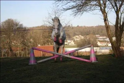 Quel est cet obstacle ?