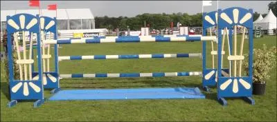 Quel est cet obstacle ?