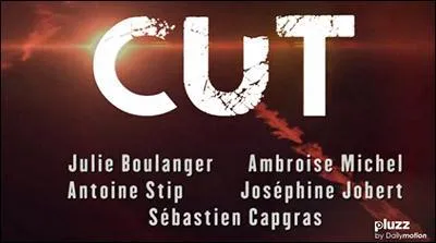 Que veut dire "Cut" ?