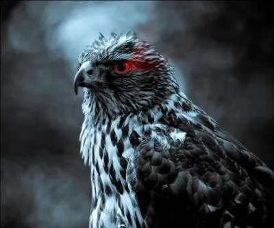 Quand un animal est agressif, sert-il à quelque chose de l'emmener chez un vétérinaire ?