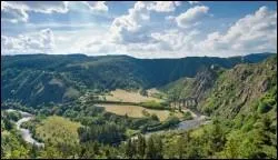 Forcément matinal, il est diffusé dans le département 43.