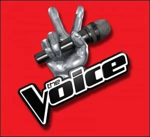 Combien de millions de téléspectateurs a en moyenne The Voice ?