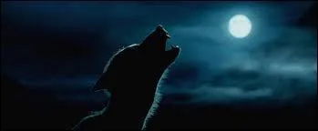 Qui se transforme en loup-garou à la pleine lune ?