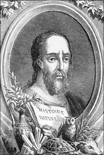 Qui est ce naturaliste romain du 1er siècle ? Il s'épanche longuement sur l'éléphant, lui prêtant une intelligence supérieure et des sentiments humains.