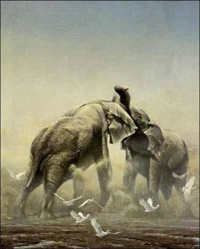 Sous l'Antiquité, l'éléphant peuplait une grande partie de l'Afrique du Nord, essentiellement le Maroc actuel.