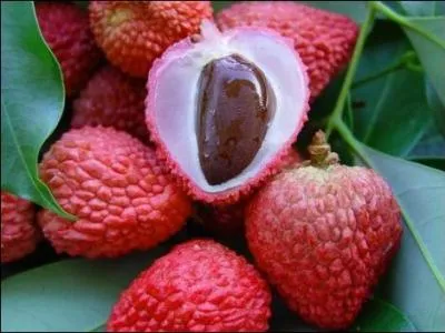 Quels sont ces fruits exotiques ?