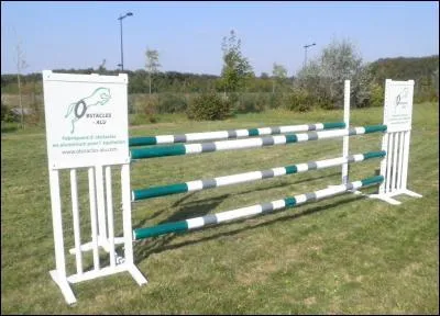 Quel est cet obstacle ?