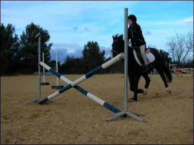 Comment s'appelle cet obstacle ?