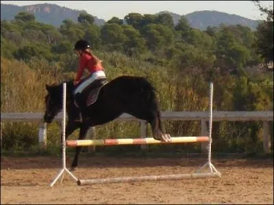 Quel est cet obstacle ?