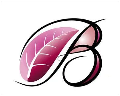 Les ... sont des rondins de sapin utilisés pour revêtir transversalement un chemin forestier.