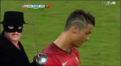 Tout le monde connaît le justicier masqué "Zorro". Que signifie ce mot en espagnol ?