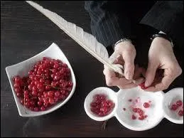 Bar-le-Duc, dans la Meuse, est connue pour ses confitures de groseilles. Justement, ces groseilles sont épépinées à la plume ...