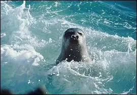 Dans quel film Marie Daëms interprète-t-elle Gabrielle Rivers ?