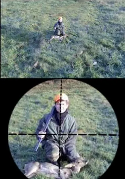 Le chasseur peut-être tué par un lapin du 1er janvier au 31 décembre. Quelle est la bonne réponse ?