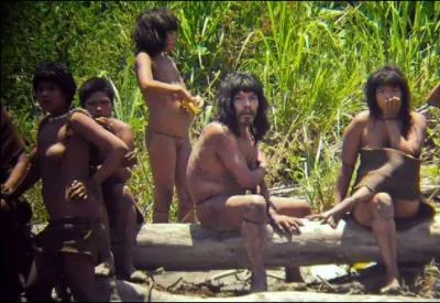 Quel danger menace la survie des 15 tribus recensées au Pérou ?