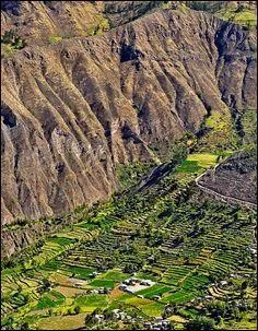 Quels animaux peut-on apercevoir dans le canyon du Colca ?