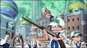 Qui a changé l'apparence de ces soldats de la marine ?