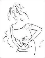 Le foie, le pancréas et les reins font partie de notre système digestif.