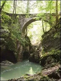 Ce pont se trouve en forêt domaniale de la Grande Chartreuse. Alors d'après vous est-il classé ou pas ?
