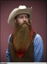 Quelle taxe le roi Henri VIII a-t-il mise en place en 1535 ?