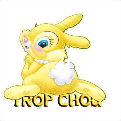 Petit chou pâtissier :