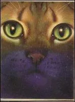 Qui est la soeur de Poil d'Ecureuil ?