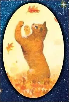 Quel est le nom d'apprentie de Poil d'Ecureuil ?