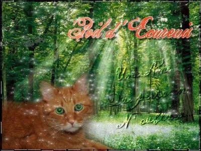 Qui sont les apprentis de Poil d'Ecureuil ?