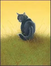 Museau Cendré a-t-elle enfreint le code du guerrier ? Si oui, comment ?