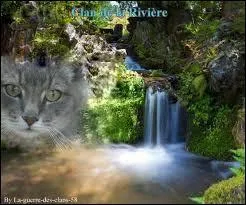 Qui sont les lieutenants ?