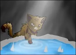 Et enfin, petit bonus ! Qui est le "guérisseur" de la Tribu de l'Eau Vive ?