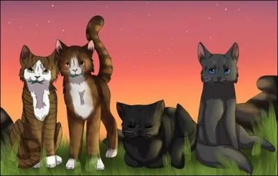 Et qui sont les guérisseurs ?