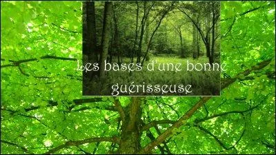 Et qui sont les guérisseurs ?