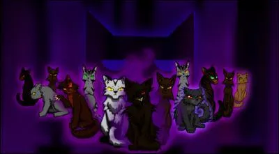 Qui sont les lieutenants ?