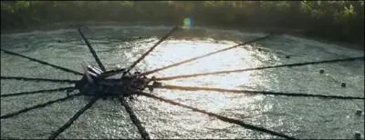 Quelle est la forme du stade ?