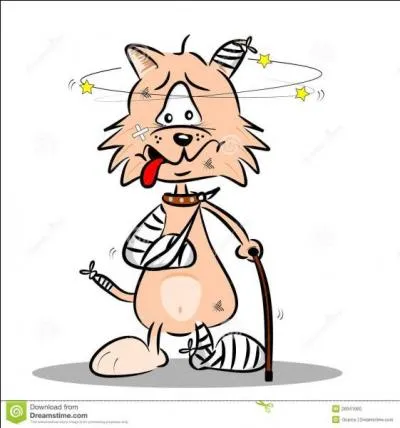 Qu'est-ce que le colonel Snow ordonne-t-il de bombarder ?