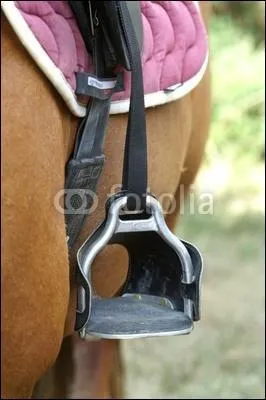 Que voit-on sur cette image ?