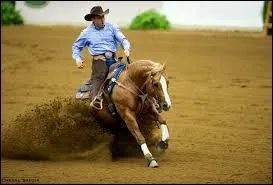 Laquelle de ces disciplines n'est pas une discipline d'équitation ?