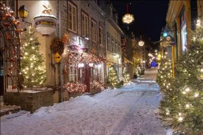 Restons dans la même rue si charmante voire fascinante. On y trouve de tout et de très bons restaurants dont Le lapin sauté... Tout pour nous faire rêver, même le panneau de signalisation du restaurant ! Combien de lapins y a-t-il sur ledit panneau ?