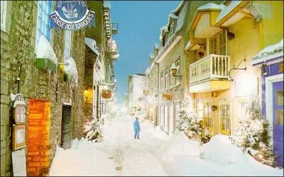 Mais il fait froid en ville ou à la campagne et notre promeneur solitaire qui déambule dans la rue déserte cherche un endroit pour se réchauffer. Il y a un petit bistro-restaurant dans la rue mais il est passé tout droit. Quel est le nom de ce bistro-restaurant ?
