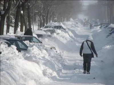 Quittons cette petite rue charmante et retournons dans la grande ville et à sa dure réalité. Il y a eu une tempête la veille et tout est bloqué. Il faut marcher, pelleter devant son char ou abandonner et retourner se coucher ! Mais dans cette rue embourbée et magnifique, que dit donc la pancarte sur la gauche ?